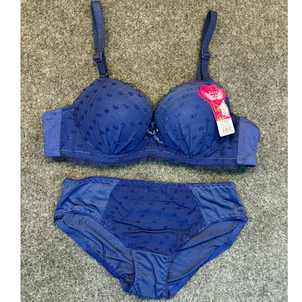 Elegance Embroidered Bra & Panty Se