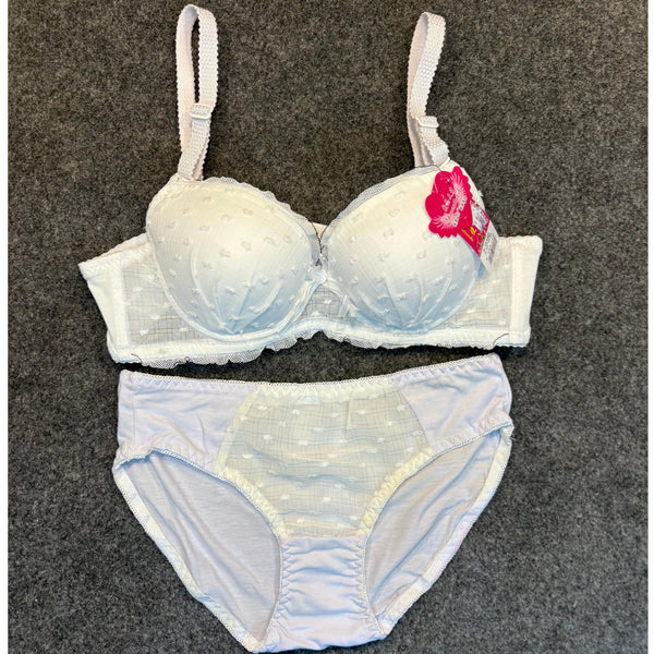 Elegance Embroidered Bra & Panty Se